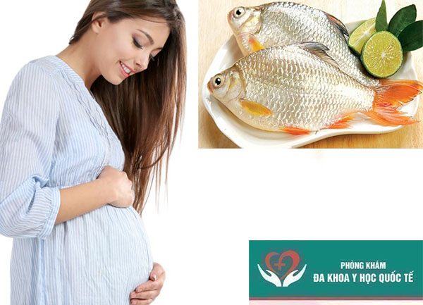 Cá và lợi ích của cá đối với sức khỏe bà bầu