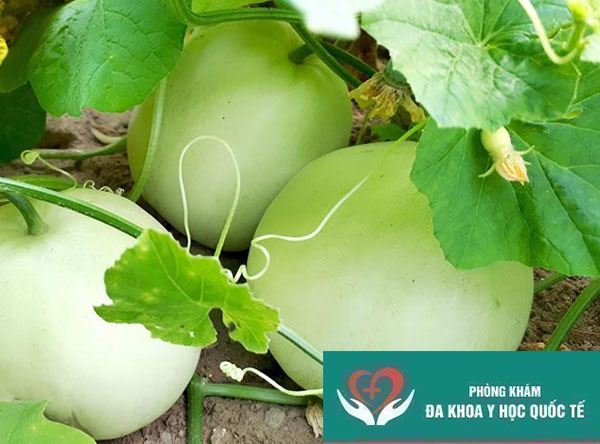 Ăn dưa lê có béo không? Bí quyết giảm cân từ dưa lê