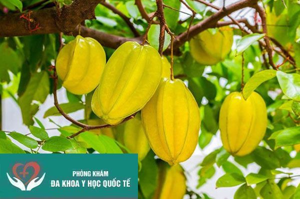 Một số điều cần biết về quả khế