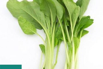 100g-cai-ngot-bao-nhieu-calo-cai-ngot-co-tac-dung-gi