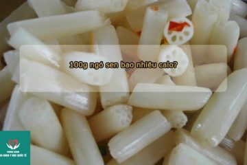 100g-ngo-sen-bao-nhieu-calo-an-ngo-sen-co-beo-khong
