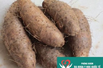 khoai-tu-co-tac-dung-gi-an-khoai-tu-co-giam-can-khong