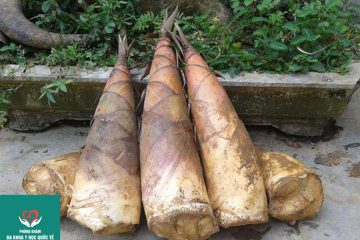mang-tre-bao-nhieu-calo-an-mang-tre-co-tot-khong
