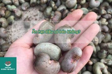 an-hat-dieu-co-beo-khong-100g-hat-dieu-bao-nhieu-calo